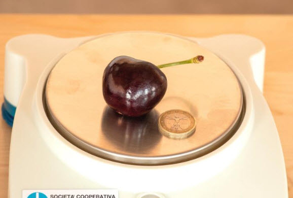 World's Heaviest Cherry